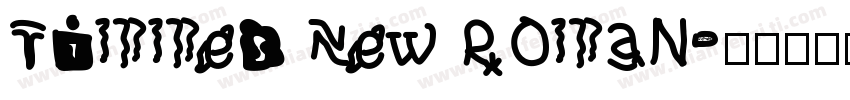 Timmes New Roman字体转换